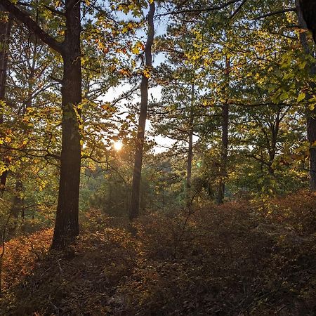 Loblolly Pines Adventure Cabin 4 King Eureka Springs Buitenkant foto